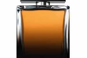 Produktbild von Dolce & Gabbana – The One For Men 150ml Eau de Parfum Spray