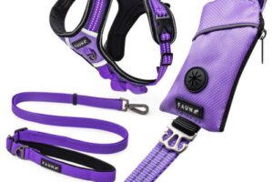 Bild von Fauna® Purple Dog Harness, Lead & Poop Bag Holder M/L Set-Large