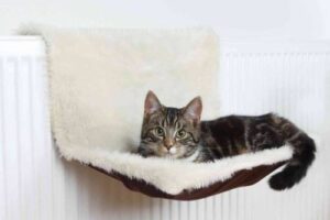 Bild von Trixie Radiator Cat Bed