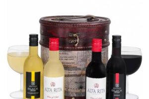 Produktbild von Prestige Hampers Explorer’s Wine Case – Wine Hampers – Wine Gifts – Wine Hamper Delivery – Wine Gift Sets – Wine Gift Delivery – Wine Hampers UK