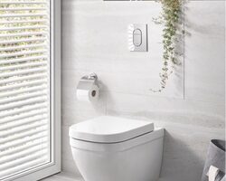 Bild von Wall Hung Toilet with Soft Close Seat Frame and Cistern – Grohe Solido Euro