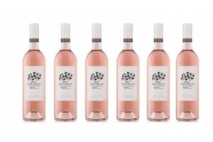 Bild von 8Wines.com Mirabeau Classic Provence Rose 2020 6 Bottle Case