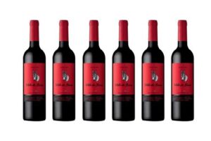 Produktbild von Case of Portuguese Red Wine: 6 Bottles
