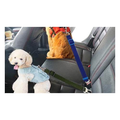 Bild von Pet Car Seat Belt
