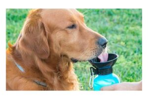 Produktbild von Portable Drinking Bottle for Dogs
