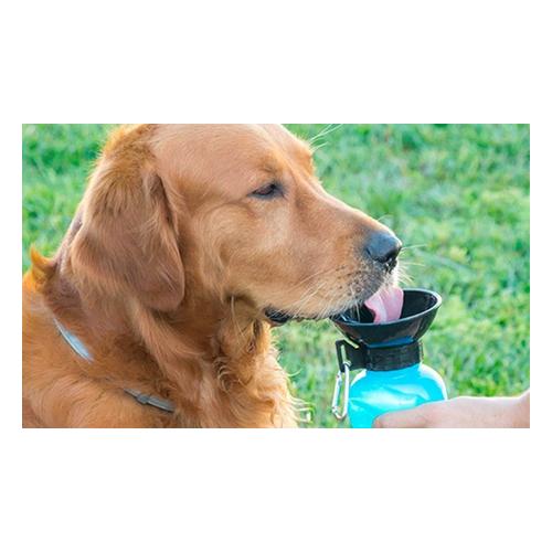 Produktbild von Portable Drinking Bottle for Dogs