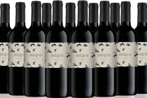 Produktbild von San Jamon Case of 12 Migro Tinto Castilla y Leon Red Wine