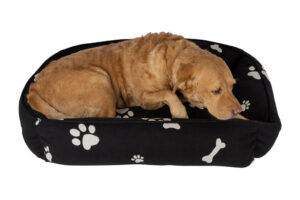 Produktbild von Retreat – Pet Bed – Medium – Bones & Dog Paws