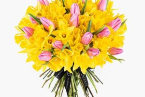 Bild von Haute Florist 100 Daffodils & Tulips