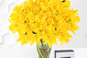 Bild von British Grown Daffodils – Free Chocs
