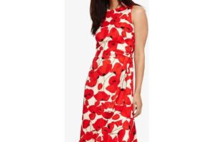 Produktbild von Dorothy Poppy Print Dress – Red – Phase Eight Dresses