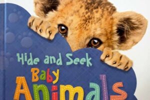Produktbild von Dorling Kindersley Ltd Hide and Seek: Baby Animals by DK – Ages 0-5 – Board Book