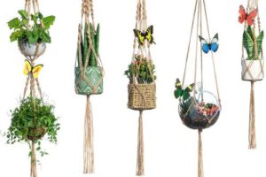 Bild von 5-Pack Macrame Plant Hangers with 5 Hooks, Handmade Cotton Rope Hanging Planters Set Flower Pots