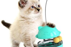 Produktbild von Cat Food Dispensing Ball Cat Tracks Treat Tumbler Ball Cat Feeder Circle Track with Moving Balls