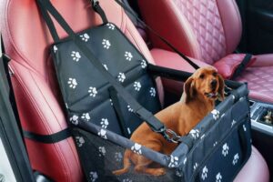 Produktbild von GoBuyer Waterproof Pet Dog Car Seat Booster Carrier with Seat Belt Harness and Headrest Strap for Puppy Cat