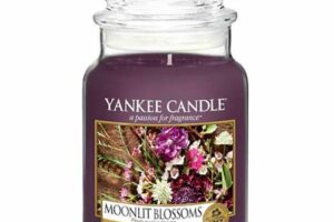 Bild von Yankee Candle – Original Jar Candles Large Moonlit Blossoms 623g  for Men and Women