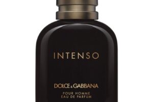 Bild von Dolce & Gabbana Pour Homme Intenso EDP M 40 ml