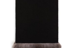 Bild von Roberto Cavalli Fox Fur-trimmed Stole – Black – Roberto Cavalli Scarves