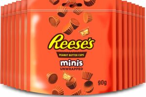 Bild von Reese’s Mini Peanut Butter Cups Pouch, Milk Chocolate Flavour Mini Cups, 90g – Pack of 14