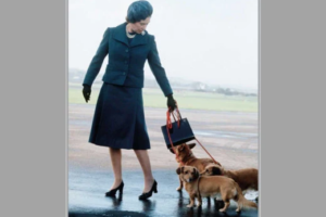 Produktbild von The Queen: 70 years of Majestic Style by Bethan Holt