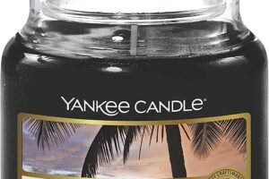 Bild von Yankee Candle Scented Candle | Black Coconut Small Jar Candle | Burn Time: Up to 30 Hours