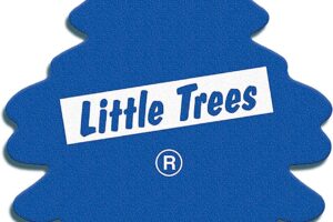 Bild von Little Trees Air Freshener, New Car Fragrance