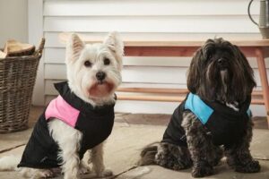 Bild von Bunty Pet Products Dog Puffer Jacket – Bunty, Pink / Extra Small