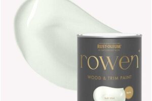 Bild von Soft Mint Satin Wood & Trim Paint – 750ml