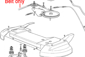 Bild von Mountfield Parts and Attachments Mountfield Deck Drive Belt B55 135062813/1