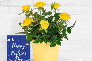 Bild von 123 Flowers Lovely Lemon Rose & Card