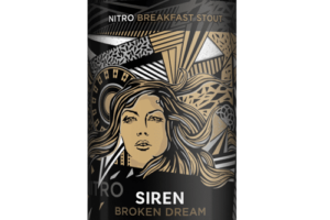 Bild von Craft Broken Dream 440ml